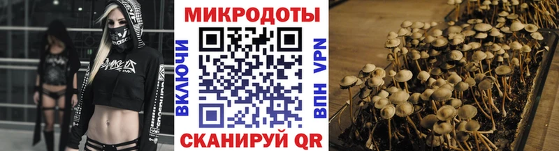 Псилоцибиновые грибы мицелий  где купить наркоту  Ефремов 